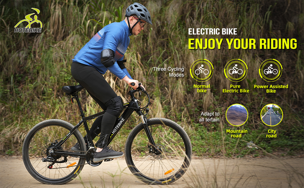 750W Mountain Electric bike 26