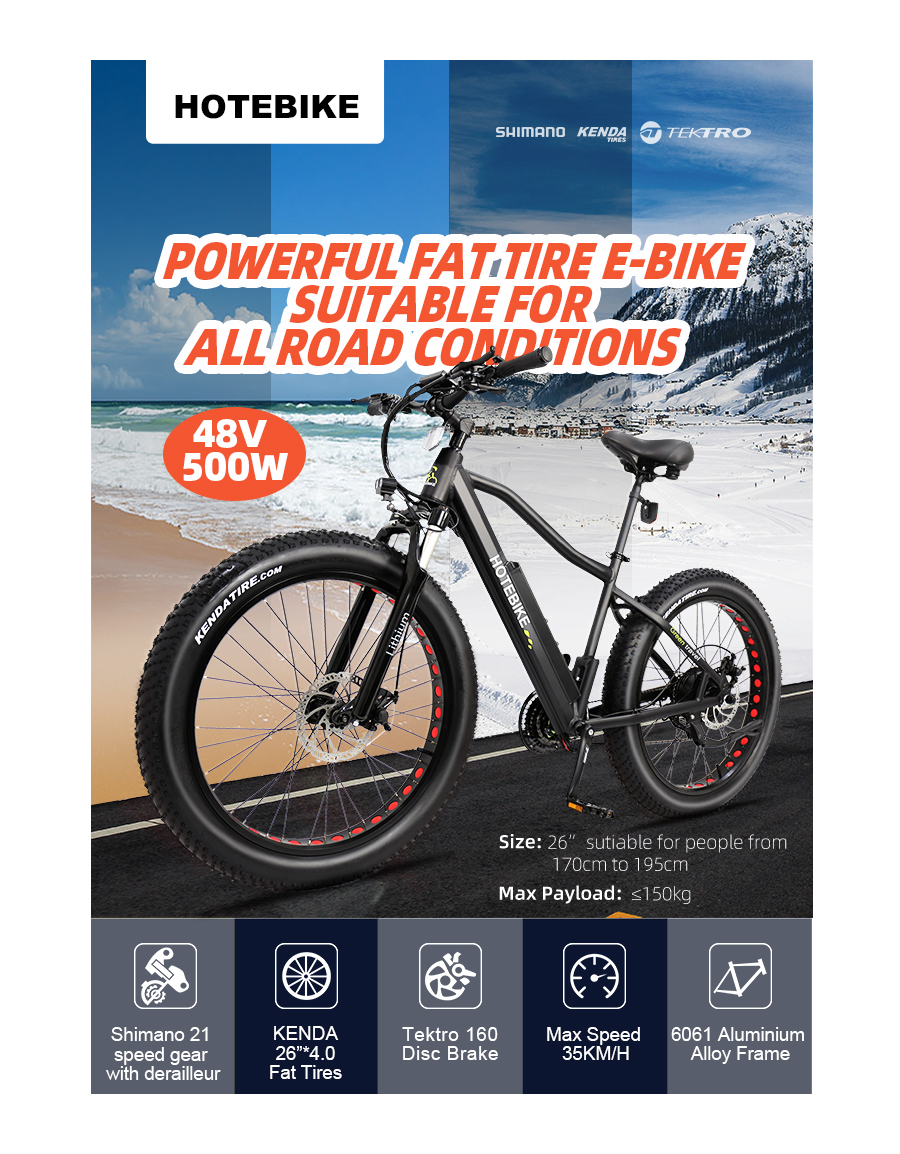 48V 500W Fat tire electric bicycle high power mountain bike 26