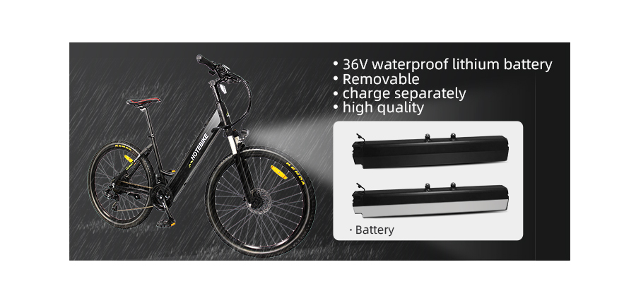 electric bikes for adults