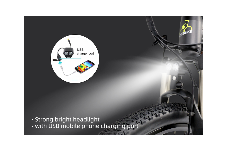 electric bikes for adults