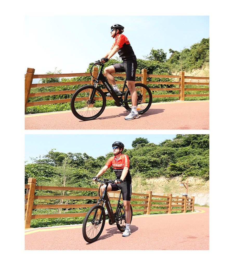 electric bikes for adults