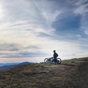 Bicycle Day (April 19) | A special day of the year