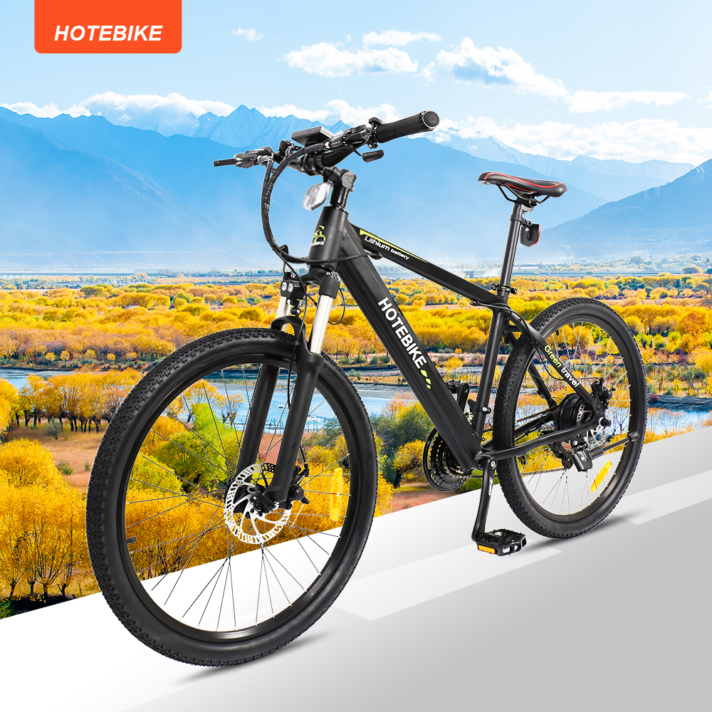 What is the best electric assist bike
