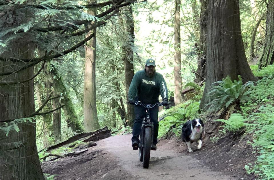 Rad Power Bikes RadRover 5 electric fat tire bicycle