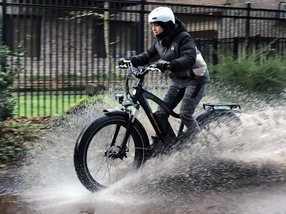 Rad Power Bikes RadRover 5 electric fat tire bicycle