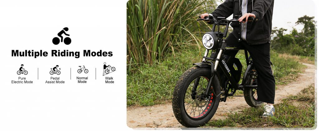 Electric Bike for Adults 1000W Motor 20
