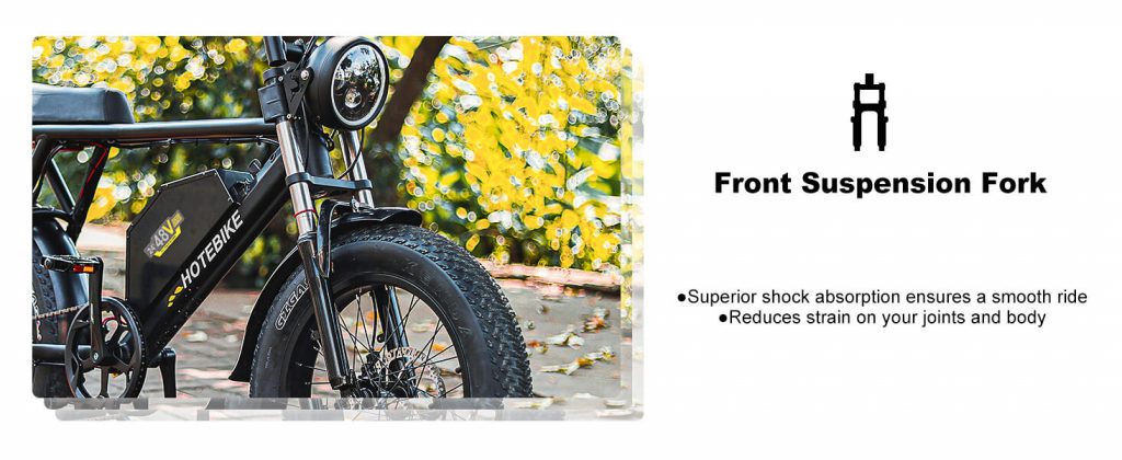 Electric Bike for Adults 1000W Motor 20