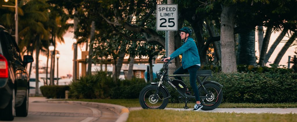 Electric Bike for Adults 1000W Motor 20