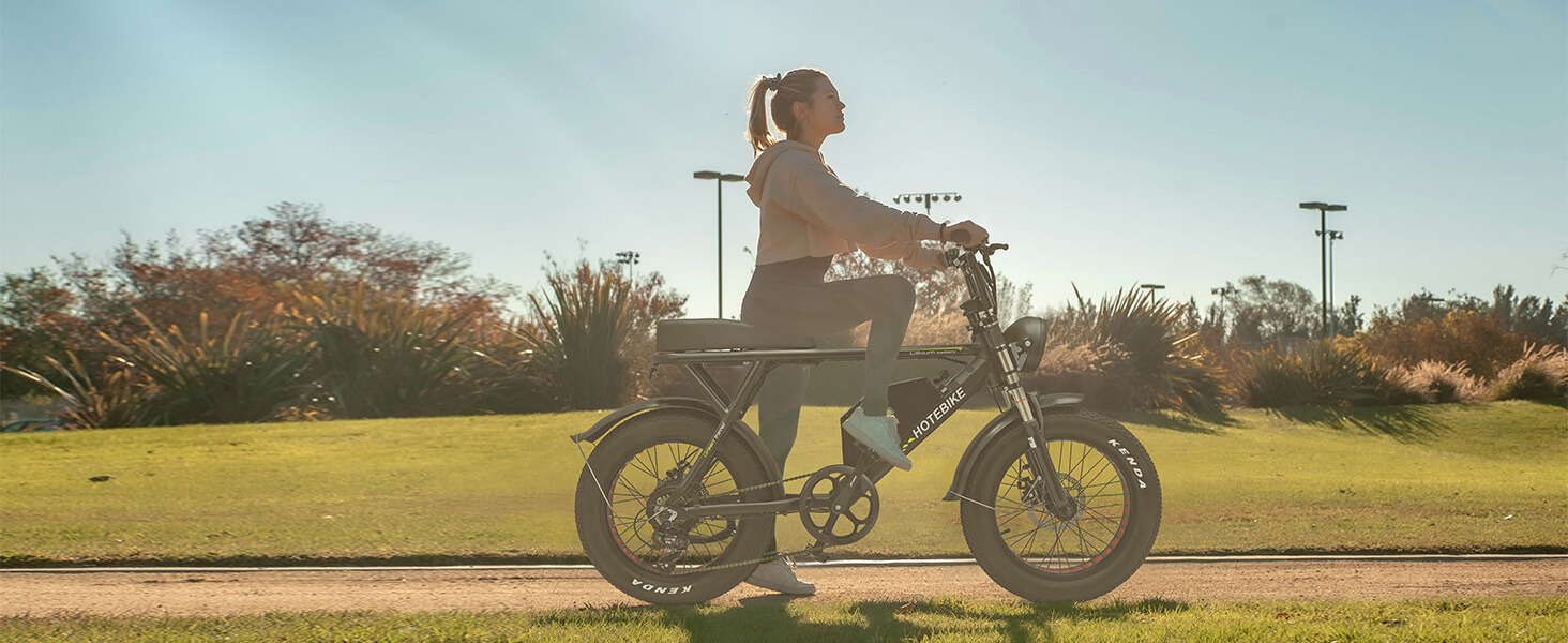 Electric Bike for Adults 1000W Motor 20