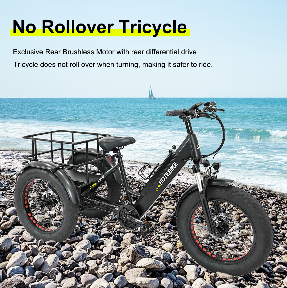 3 Wheel Electric Bike 20 inch 750W Fat Tire Electric Tricycle - Electric Bike Europe - 1