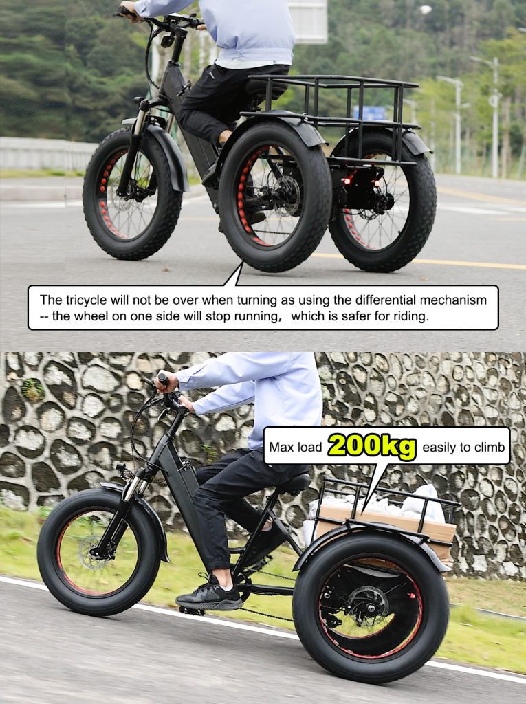 3 Wheel Electric Bike 20 inch 750W Fat Tire Electric Tricycle - Electric Bike Europe - 7