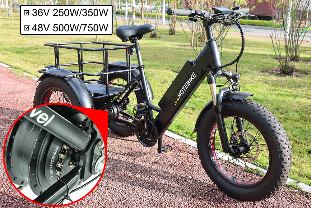 3 Wheel Electric Bike 20inch Fat Tire Electric Tricycle Adult Cargo Electric Bike - Electric Bike Europe - 2