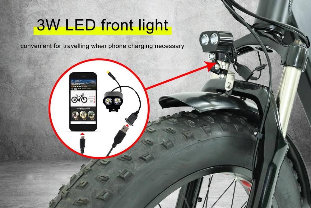 3 Wheel Electric Bike 20 inch 750W Fat Tire Electric Tricycle - Electric Bike Europe - 4