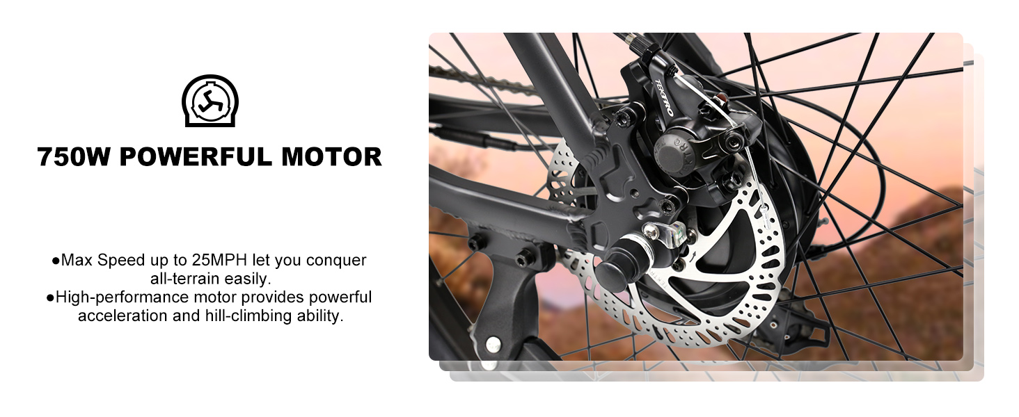 Electric Bicycle Full Suspension 750W Color Display Ebike - Electric Bike Canada - 1